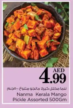 Nesto NANMA Pickle offer