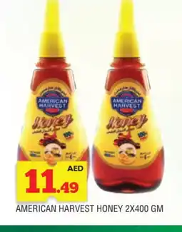 Al Madina AMERICAN HARVEST Honey offer