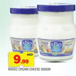 Al Madina NADEC Cream Cheese offer