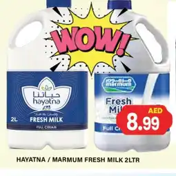Gulf Hypermarket MARMUM Fresh Milk offer
