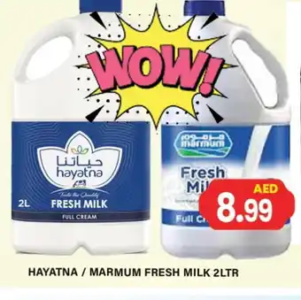 Gulf Hypermarket MARMUM Fresh Milk offer
