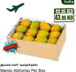 Almaya supermarket Mango alphonso offer