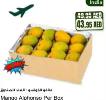 Almaya supermarket Mango alphonso offer