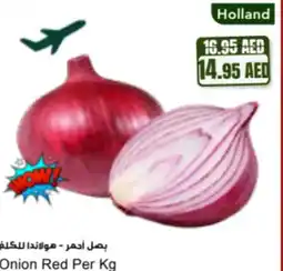Almaya supermarket Onion red offer