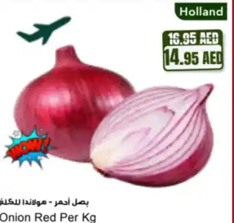 Almaya supermarket Onion red offer