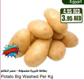 Almaya supermarket Potato big washed offer