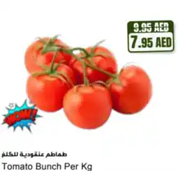 Almaya supermarket Tomato Bunch offer