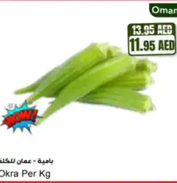Almaya supermarket Okra offer