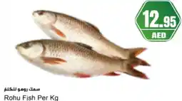Almaya supermarket Rohu Fish offer