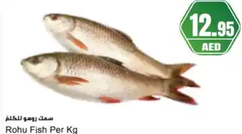 Almaya supermarket Rohu Fish offer