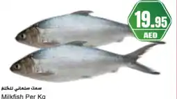 Almaya supermarket Milkfish offer