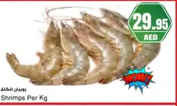 Almaya supermarket Shrimps offer
