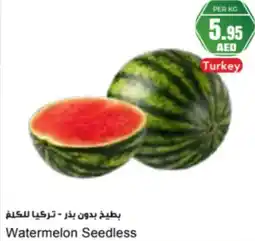 Almaya supermarket Watermelon Seedless offer
