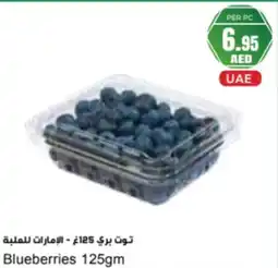 Almaya supermarket Blueberries offer