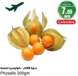 Almaya supermarket Physalis offer