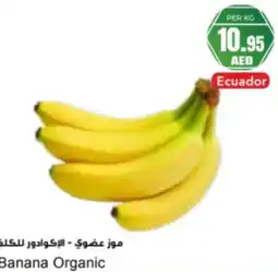 Almaya supermarket Banana Organic offer