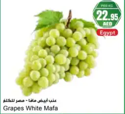 Almaya supermarket Grapes White Mafa offer