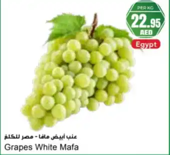 Almaya supermarket Grapes White Mafa offer