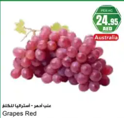 Almaya supermarket Grapes Red offer