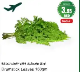 Almaya supermarket Drumstick Leaves offer