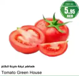 Almaya supermarket Tomato Green House offer