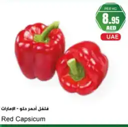 Almaya supermarket Red Capsicum offer