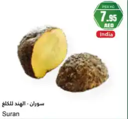 Almaya supermarket Suran offer