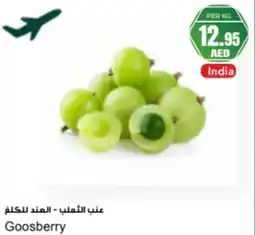 Almaya supermarket Goosberry offer