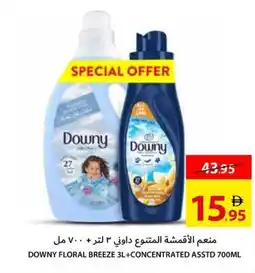 Ajman Market Downy floral breeze + concentrated asstd offer