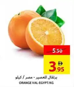 Ajman Market Orange Val Egypt offer