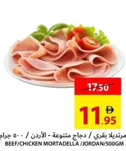 Ajman Market Beef / Chicken Mortadella / Jordan offer