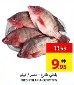 Ajman Market Fresh Tilapia Egypt offer