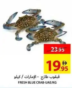 Ajman Market Fresh Blue Crab UAE offer