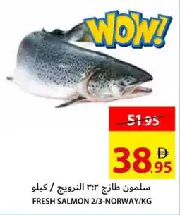 Ajman Market Fresh Salmon 2/3 Norway offer