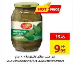 Ajman Market California garden grape leaves in brine offer