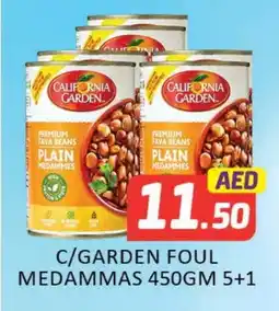 Mango Hypermarket LLC CALIFORNIA GARDEN Fava Beans offer