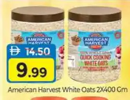 Al Madina AMERICAN HARVEST Oats offer
