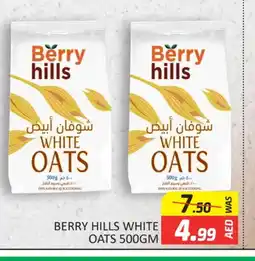 Al Madina BERRY HILLS Oats offer