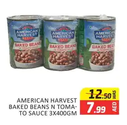 Al Madina AMERICAN HARVEST Baked Beans offer