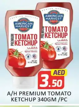 Mango Hypermarket LLC AMERICAN HARVEST Tomato Ketchup offer
