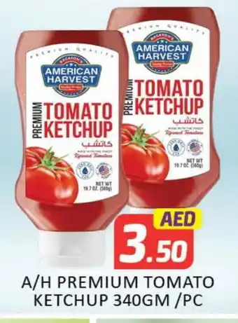 Mango Hypermarket LLC AMERICAN HARVEST Tomato Ketchup offer