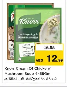 Nesto KNORR Spices / Masala offer