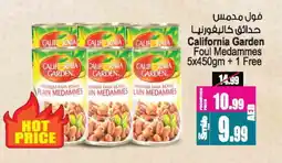 Ansar Gallery CALIFORNIA GARDEN Fava Beans offer