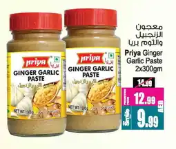 Ansar Gallery PRIYA Garlic Paste offer