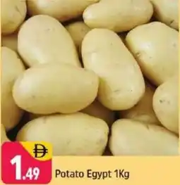 Shaklan Potato Egypt offer
