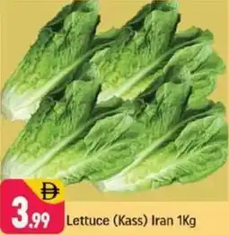 Shaklan Lettuce Kass Iran offer