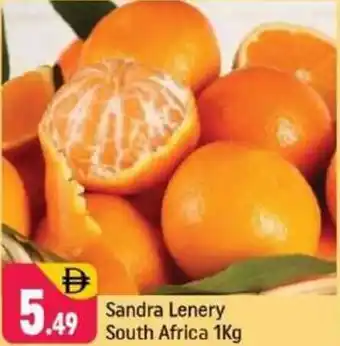 Shaklan Sandra Lenery South Africa offer