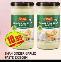 Al Madina SHAN Garlic Paste offer