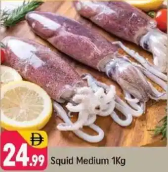 Shaklan Squid Medium offer