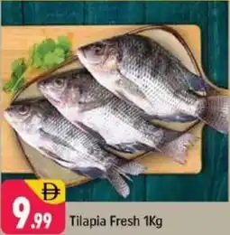 Shaklan Tilapia Fresh offer